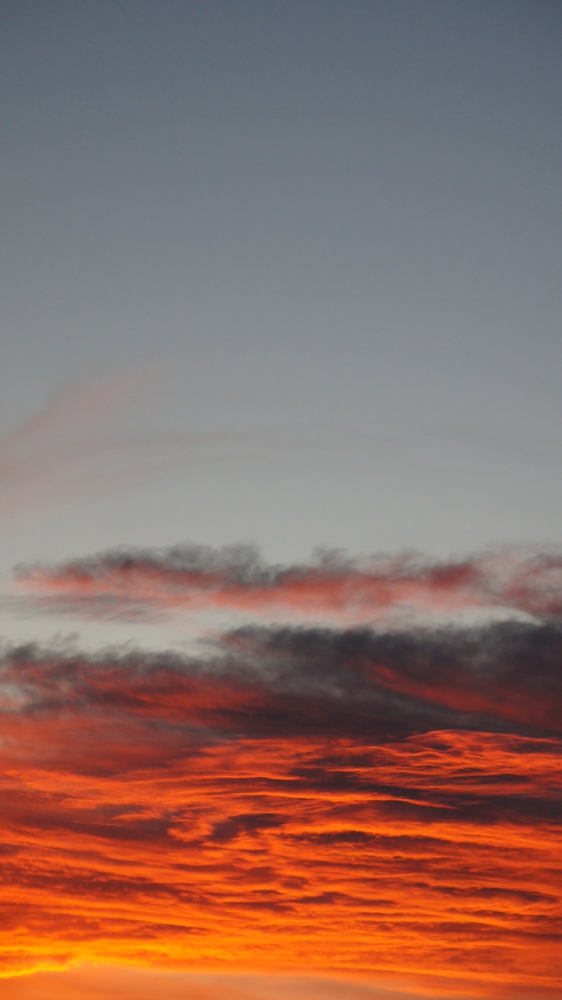 FOTOGRAFÍA [562 x 1000]